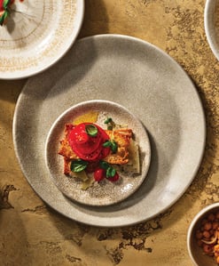 Steelite_Performance Ink Crackle_CFIMKT Steelite_Performance Ink Crackle_CFIMKT